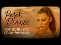 Petek Dinçöz Sensiz Bu Yaz Slow Versiyon Lyrics Video Petek Dinçöz Sensiz Bu Yaz Slow Versiyon Lyrics Video