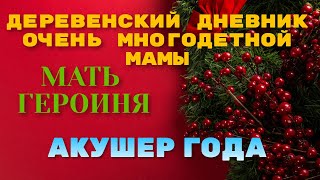 Деревенский дневник очень многодетной мамы." Мать героиня ". Акушер года.