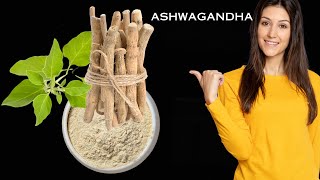 Top 15 Amazing Health Benefits Of ASHWAGANDHA