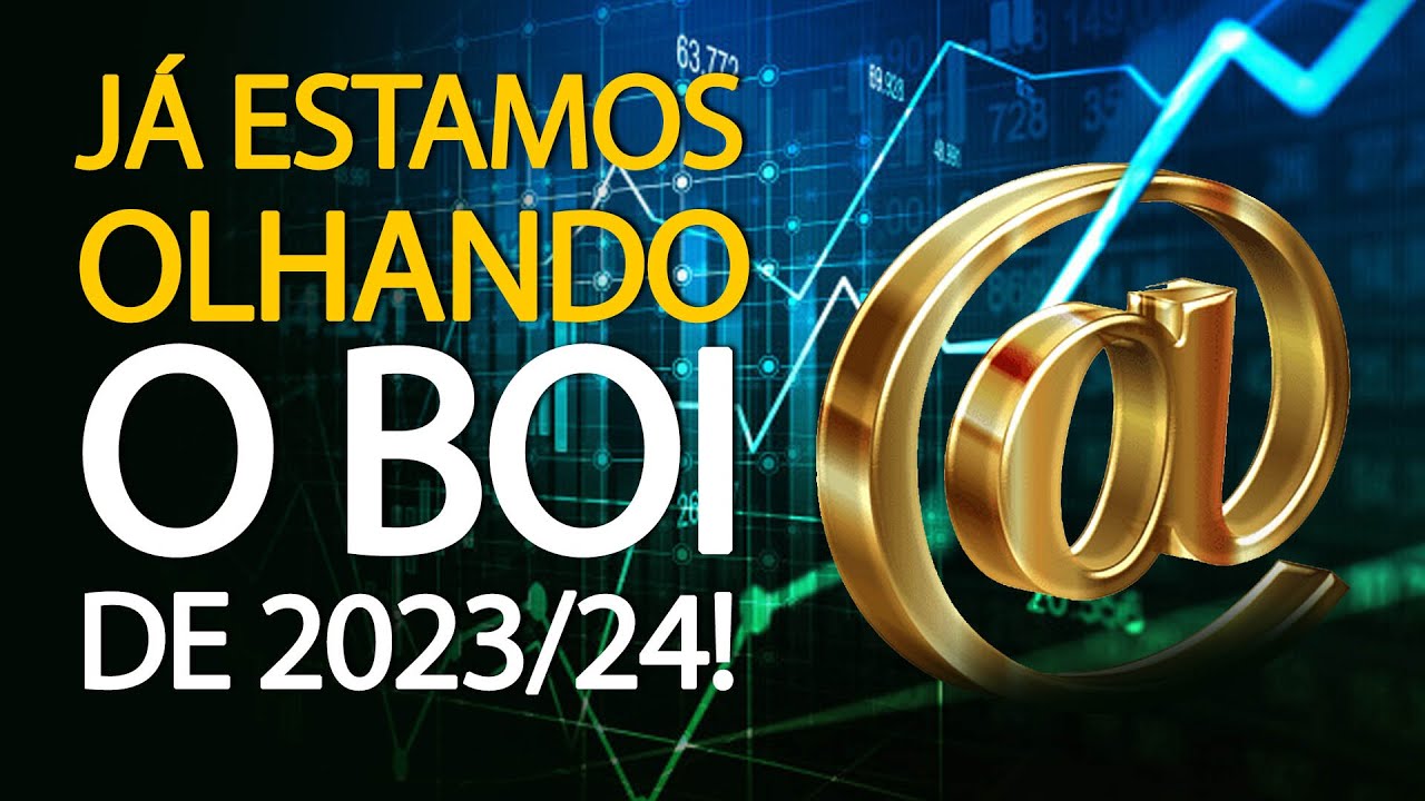 OLHANDO O BOI DE 2024! YouTube