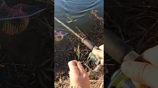 Щука на ложку 🥄 #fishing #рыбалка #спиннинг #щука #fishingvideo