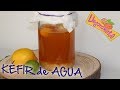 KÉFIR de AGUA, Cómo Prepararlo | Veganamente