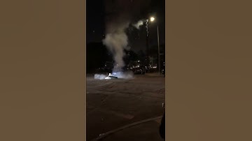 8 inch coconut shell (yung feng)