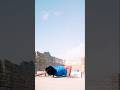 Workout #shorts #brucelee #foryou #shortsfeed #martialarts #shortvideo #fitness #fitnessmodel