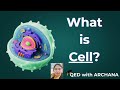 👉 What Is a Cell?🔬|Microscope Parts &amp; How to Use It |#QEDwithArchana #exampreparation#biologyshorts 