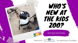 Whos New At The Kids Zoo: Penguins