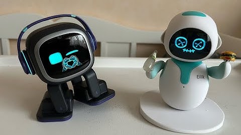 Importance of Emo robot and Eilik robots