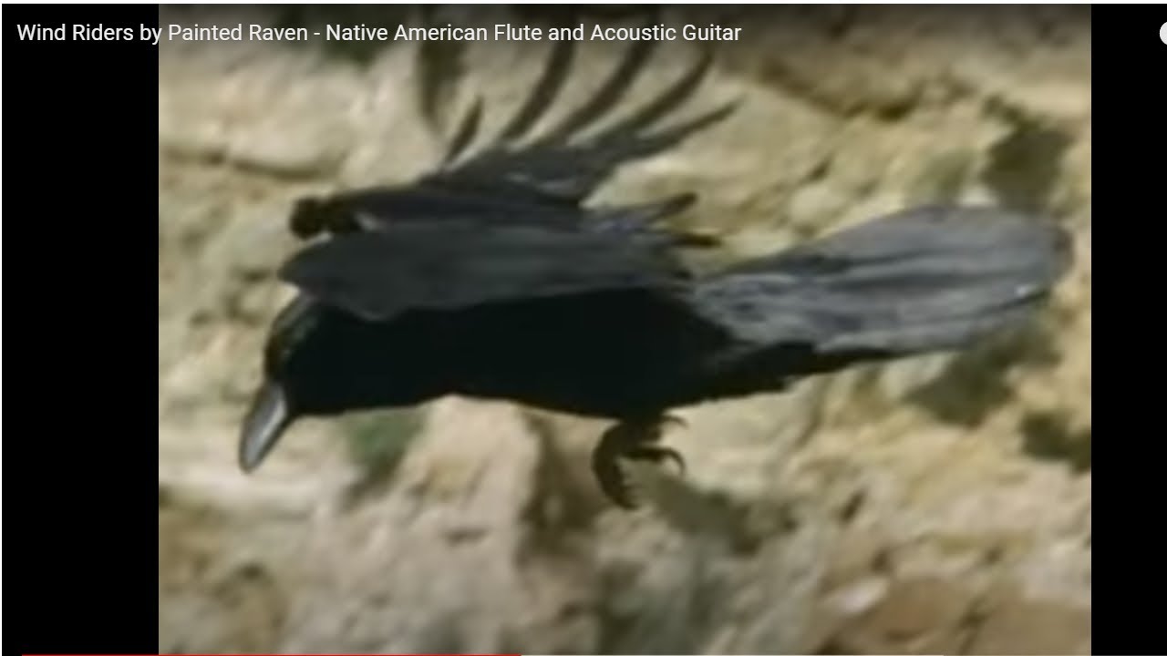 Wind Riders by Painted Raven Native American Flute and Acoustic