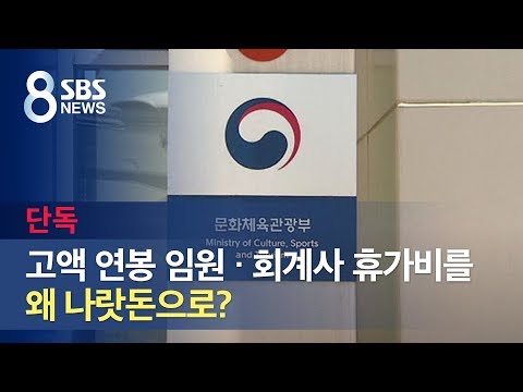 [단독] 고액 <strong>연봉</strong> 임원 · <strong>회계사</strong> 휴가비를 왜 나랏돈으로? / SBS