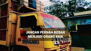 STORY TRUK AYAM MBOIS