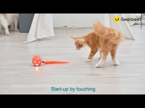 BENTOPAL P04 USB Charging Smart Ball Pet Toy with Colorful Lights - Gearbest.com