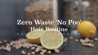 'No Poo' Zero Waste Hair Routine - Chickpea Flour Shampoo Recipe