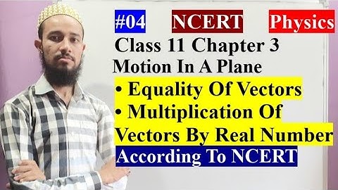 🔥 Equality of Vectors | Multiplication Of Vectors By Real Number|Chap 3 |Motion In A Plane|Cls 11|04