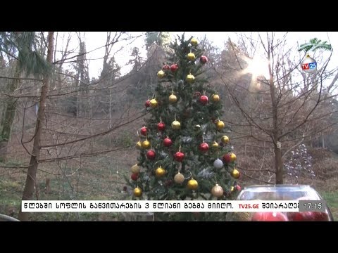 გირჩების გამოფენა ბათუმის ბოტანიკურ ბაღში