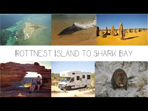 Road Trip -
