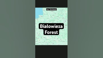 Hope I pronounced it right  #gamedevelopment #indiegames #gamedev #puzzle #detective