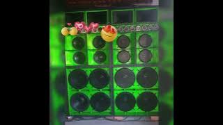 MELO DE SOLANGE SLY FOXX REGGAE LIMPO