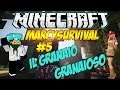 MINECRAFT ITA MARCYSURVIVAL 1.8 #5: il granaio granaioso