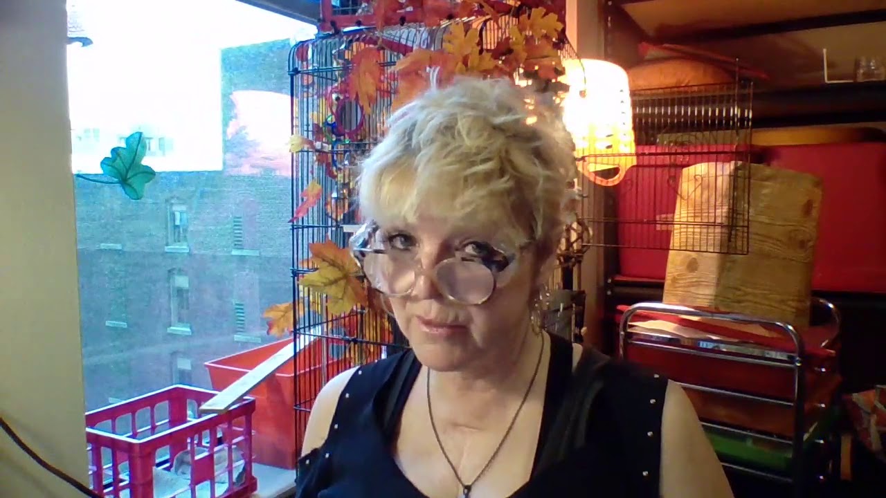 Hazelden The Language of Letting Go Jan 8th YouTube