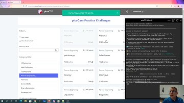 pico2022 file-run1 and file-run2