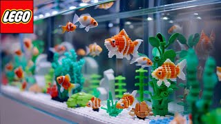 I Built LEGO Aquariums for a Real Golden Fish