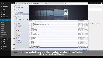 Free WordPress Theme AccesPress Ray - How to Upload Logo | WordPress Tutorial