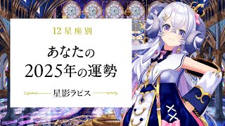 【#24時間ラピス】タロットで占う あなたの2025年の運勢【占い師VTuber星影ラピス】