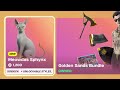 Fortnite gameplay of the Meowdas Sphynx Sidekick