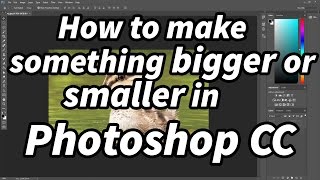 How to make something look bigger or smaller using Photoshop CC