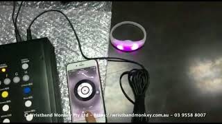 Remote Controlled LED Light Up Sound Activated Bracelet Wrist Bands
