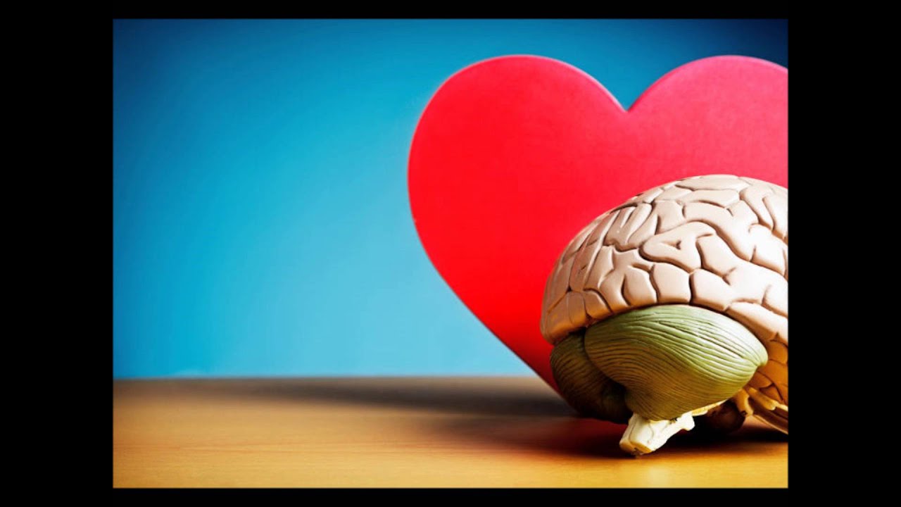 Heart and brain