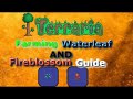 Terraria guide  farming waterleaf and fireblossom  plants