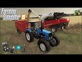 Farming Simulator 19 - Рассвет - 41 -  Продолжение уборочной