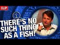 QI | No Such Thing As A Fish