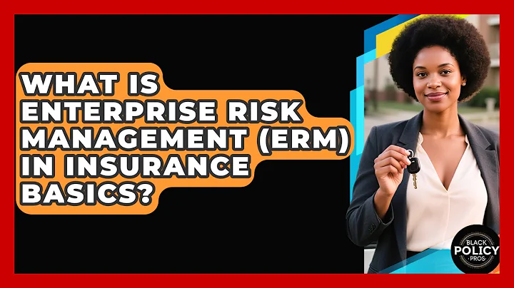 What Is Enterprise Risk Management (ERM) In Insurance Basics? - Black Policy Pros