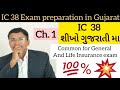 IC 38 in Gujarati || Chapter 1 || Learn in 15 minutes