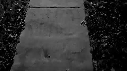 The Flying Scroll by Doctrynal X Regenerit (@doctrynal, @regenerit)