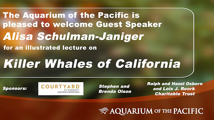 Alisa Schulman-Janiger | Killer Whales of California