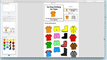 Product Preview -  Sorting File Folder Activities