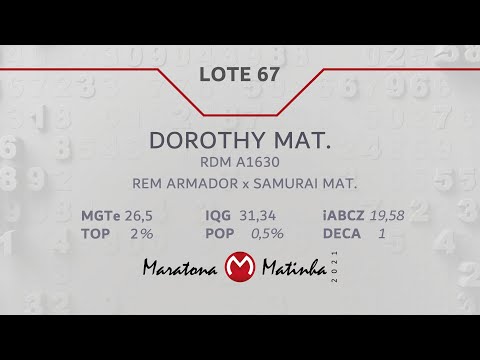 LOTE 67 Maratona Matinha