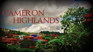 Cameron Highlands, Malaysia 2015