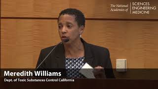 Meredith Williams- Product Development and Market Decisions