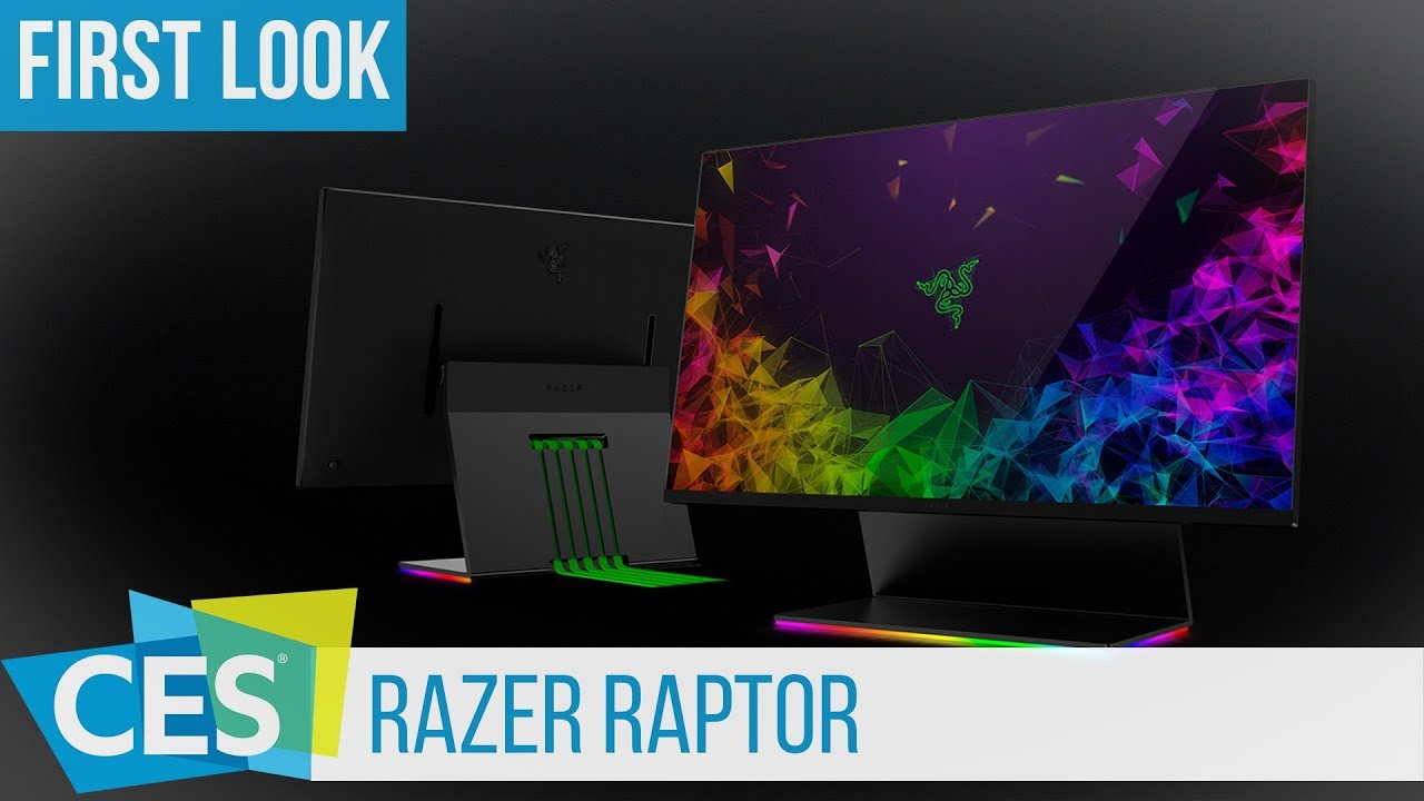 Razer Raptor 27: 144 Hz WQHD Gaming Monitor 