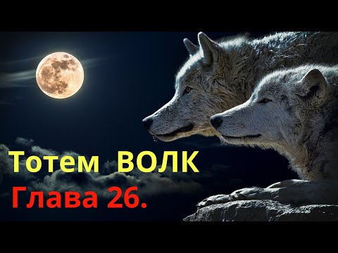 Тотем ВОЛК. Глава 26. Хранитель \