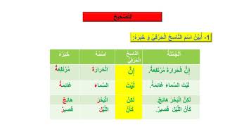 النواسخ الحرفية أنشطة الدعم للمستوى الرابع