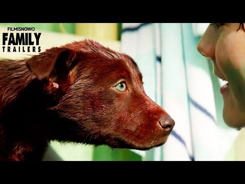 RED DOG: True Blue | Official Trailer - Family Movie [HD]