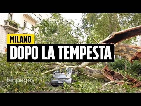 Video: Il tempo e il clima a Milano