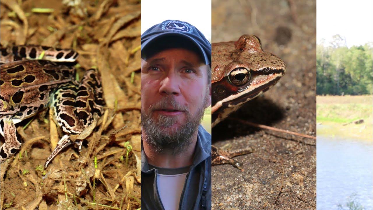 Snake Woods Nature Preserve YouTube