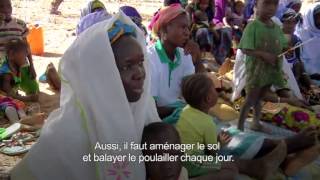 Renforcement de la résilience au Burkina Faso à travers le petit élevage de volailles et le cash
