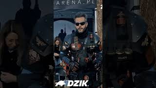 DZIK 3 CYTRYNY #dzik #wkdzik